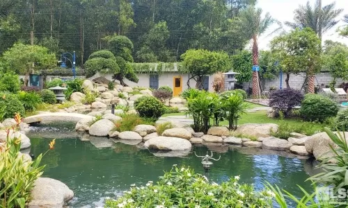 Tủ bếp thông minh cho gia đình hiện đại